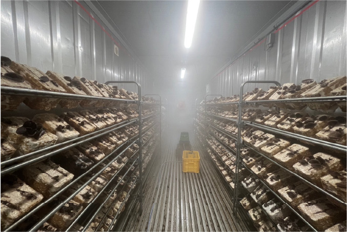 B型就労支援への就労サポート